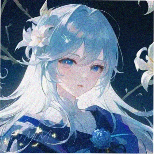 观众阿禾头像