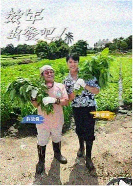 巷口放映室